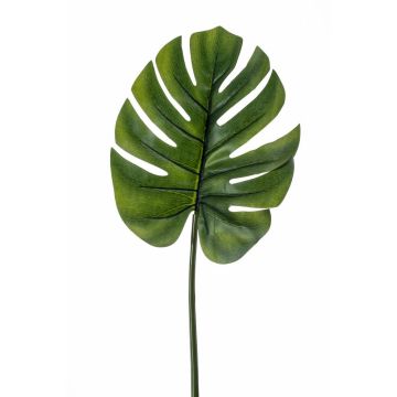 Deko Philodendron Monstera Deliciosa Blatt DRETA, 75cm