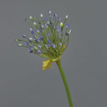 Zierlauch Kunstblume KATYNA, blau, 70cm, Ø14cm