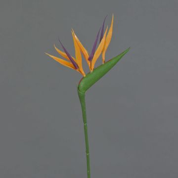 Kunst Strelitzie ZETKIN, orange-violett, 65cm, 11x12cm