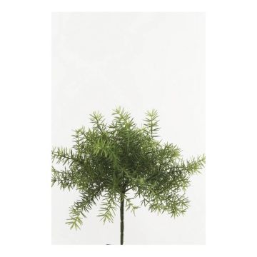 Kunstpflanze Asparagus sprengeri MONET zum Stecken, 10cm