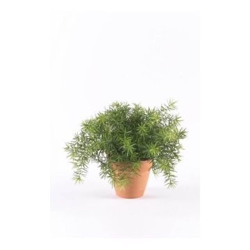 Kunstpflanze Asparagus sprengeri MONET im Tontopf, 20cm