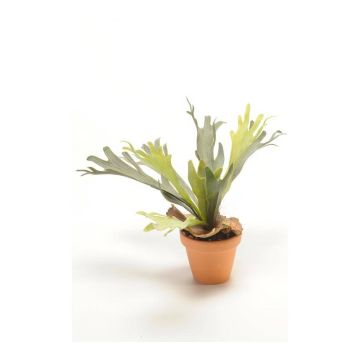 Kunst Farn Geweihfarn BAROJA im Tontopf, grün, 50cm