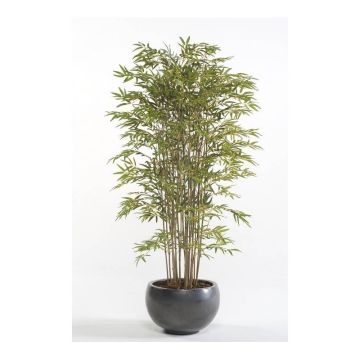 Künstlicher Bambus SATOKO, Echtstämme, 150cm