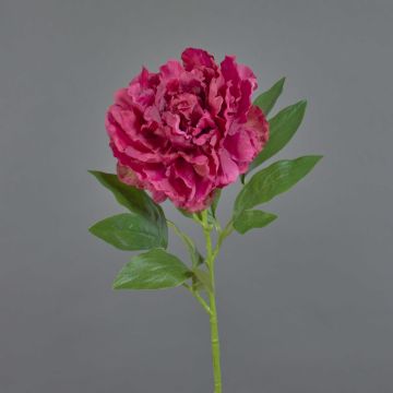 Pfingstrose künstlich DIVIN, pink, 65cm, Ø15cm