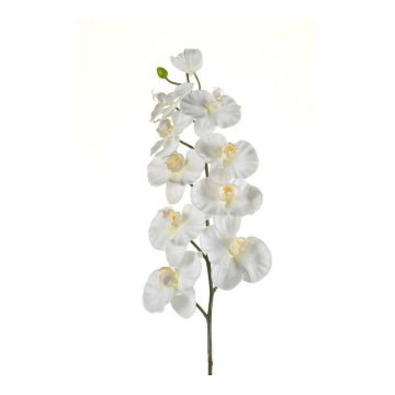Kunststoff Phalaenopsis Orchideen Zweig ANAT, creme, 100cm