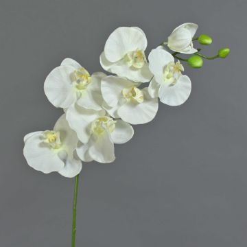 Phalaenopsis Orchideezweig künstlich BASTET, weiß, 75cm, Ø9-11cm