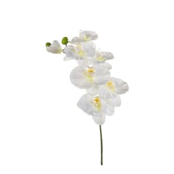 Kunststoff Phalaenopsis Orchideen Zweig BASTET, weiß, 80cm