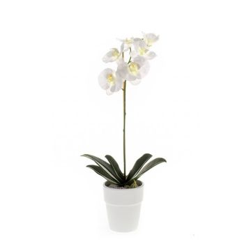 Kunststoff Phalaenopsis Orchidee ISIS, Keramiktopf, weiß, 55cm