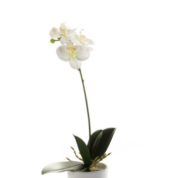 Plastik Orchidee Phalaenopsis ISIS, Stecker, weiß, 40cm