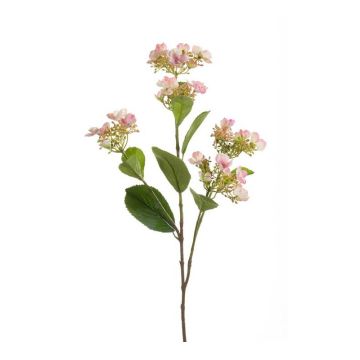 Hortensie unecht ALAZNE, rosa, 75cm