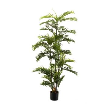 Künstliche Goldfruchtpalme FEDERICO, 180cm