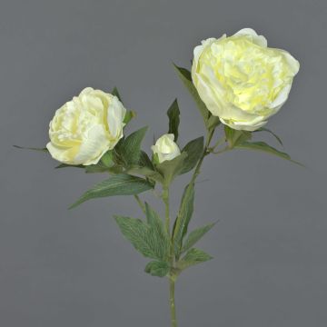 Kunstblume Pfingstrose MISTI, creme, 70cm, Ø8-12cm