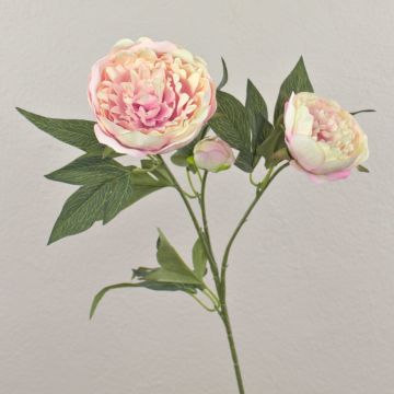 Kunstblume Pfingstrose MISTI, creme-rosa, 70cm, Ø8-12cm