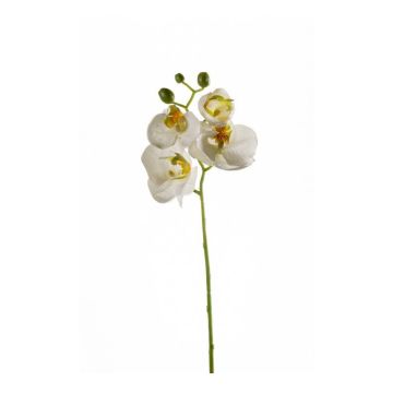 Deko Phalaenopsis Orchideen Zweig MINA, weiß, 55cm
