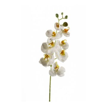 Deko Phalaenopsis Orchideen Zweig MINA, weiß, 70cm