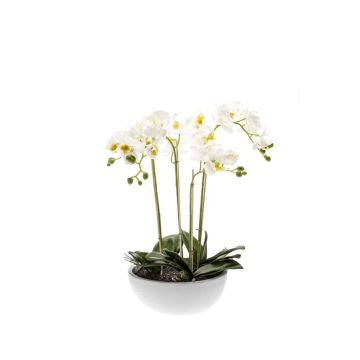 Textil Phalaenopsis Orchidee MINA im Keramiktopf, weiß, 60cm