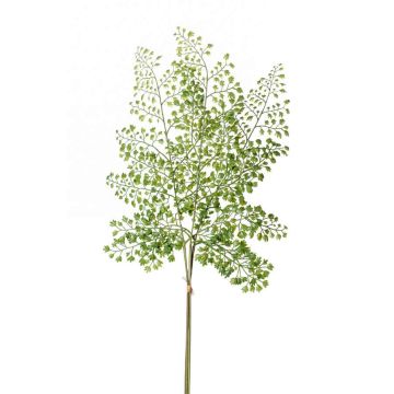 Kunstblatt Frauenhaarfarn HALIMA, grün, 60cm
