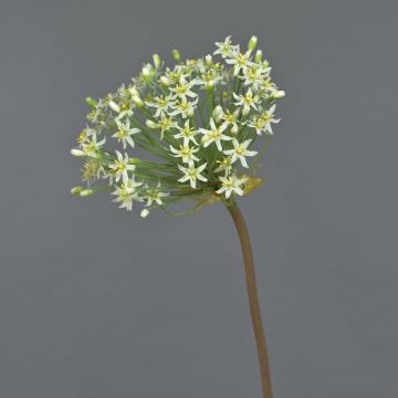 Allium künstlich BRAIS, weiß, 90cm, Ø24cm