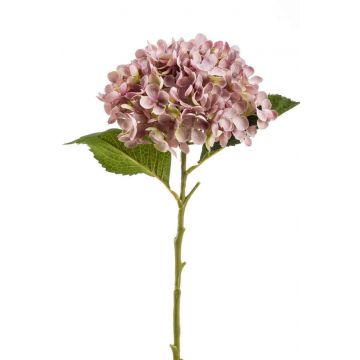 Kunst Hortensie EGIA, rosa, 50cm