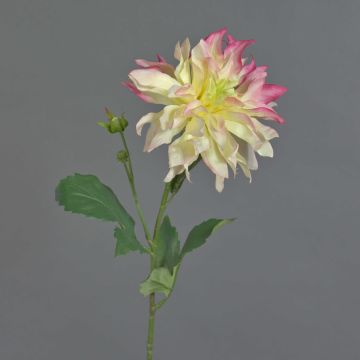 Dahlie künstlich CINTHIA, pink-rosa-creme, 60cm, Ø16cm