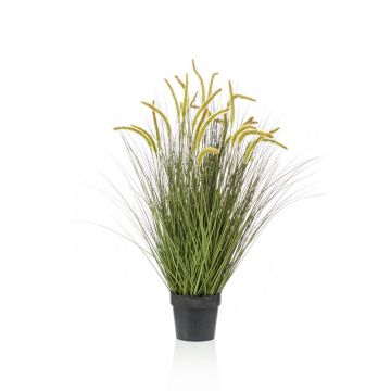 Fuchsschwansgras künstlich CAREL mit Rispen, grün, 100cm
