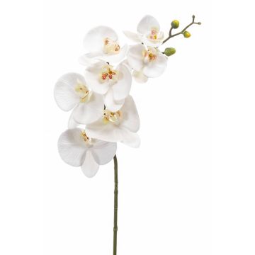 Deko Phalaenopsis Orchideen Zweig NEITH, weiß, 85cm