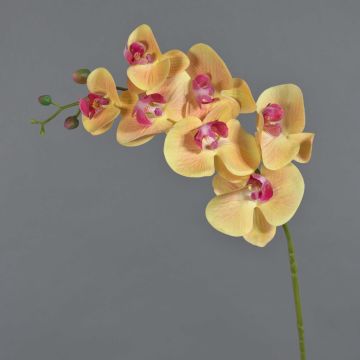 Phalaenopsis Orchideezweig künstlich NEITH, orange-pink, 75cm, Ø7-10,5cm