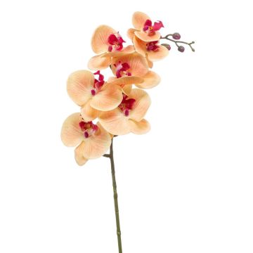 Deko Phalaenopsis Orchideen Zweig NEITH, orange-pink, 85cm