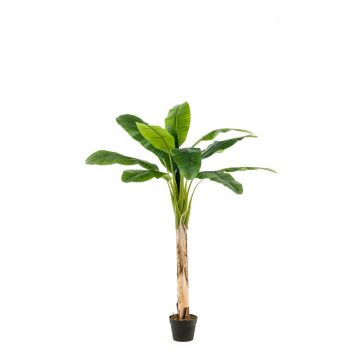 Bananenpflanze künstlich BAGHEERA, 150cm