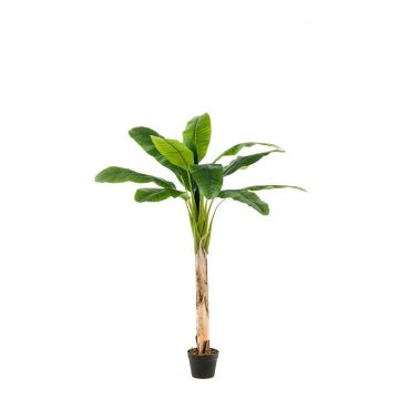 Künstlicher Bananenbaum BAGHEERA, 150cm