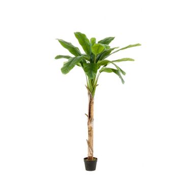 Bananenpflanze künstlich BAGHEERA, 180cm