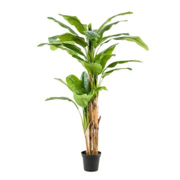 Bananenpflanze künstlich Trio BAGHEERA, 210cm