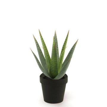 Kunst Sukkulente Aloe Variegata MARTINEZ, grün, 25cm, Ø17cm