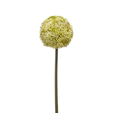 Kunststoff Allium BOUTROS, weiß-grün, 75cm