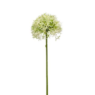 Kunst Allium ARNAU, creme-grün, 60cm
