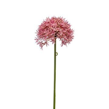 Kunst Allium ARNAU, pink, 60cm