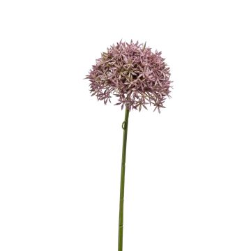 Kunst Allium ARNAU, rosa, 60cm