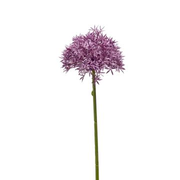 Kunst Allium ARNAU, violett, 60cm