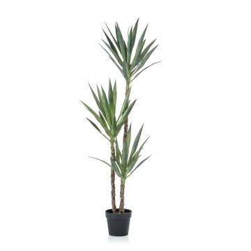 Künstliche Yucca elephantipes FRONTEIRA, 150cm