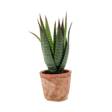Deko Aloe Variegata MARTINEZ im Terracottatopf, grün, 20cm, Ø17cm