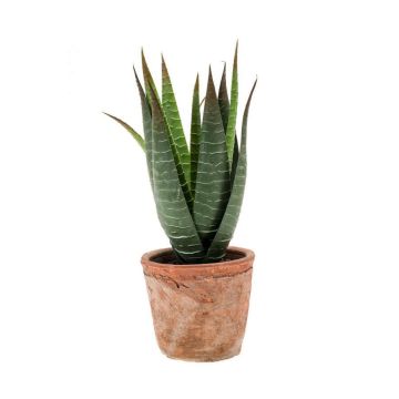 Kunst Sukkulente Aloe Variegata MARTINEZ im Terracottatopf, grün, 20cm, Ø17cm