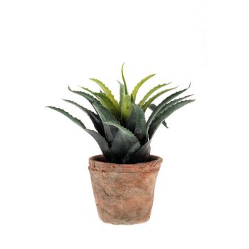 Künstliche Agave decipiens SEDA im Terracottatopf, grün, 20cm, Ø25cm