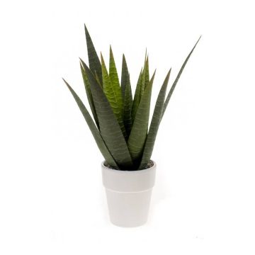 Kunst Sukkulente Aloe Variegata MARTINEZ, Keramiktopf, grün, 30cm, Ø17cm
