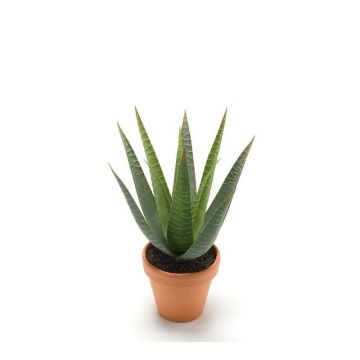Deko Aloe Variegata MARTINEZ, Tontopf, grün, 30cm, Ø17cm
