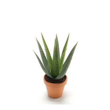 Kunst Sukkulente Aloe Variegata MARTINEZ, Tontopf, grün, 30cm, Ø17cm