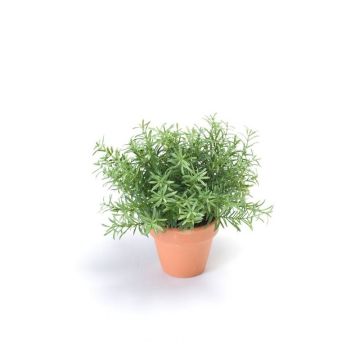 Künstliche Kräuter Rosmarin JOSHUA im Tontopf, grün, 23cm, Ø17cm