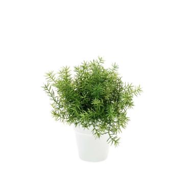 Künstliche Kräuter Asparagus sprengeri JOSHUA im Keramiktopf, 20cm, Ø17cm