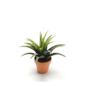 Künstliche Agave decipiens SEDA im Tontopf, grün, 25cm, Ø25cm