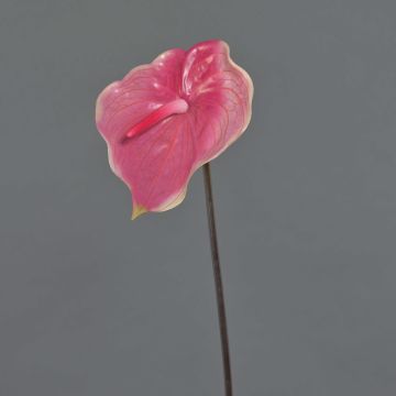 Kunstblume Flamingoblume MOIRA, pink-rosa, 75cm, 13x18cm