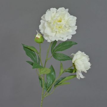 Unechte Pfingstrose ONYX, creme-weiß, 75cm, Ø10-13cm